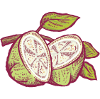 Dried Pearl Guava