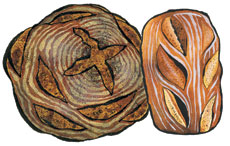 Farm Bread
