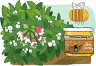 Idaho Snowberry Honey