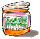 White Tupelo Honey